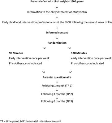 Prospective Randomized Observational Pilot Trial Evaluating the Effect of Different Durations of Interdisciplinary Early Intervention and Family Support in Parents of Very Low Birth Weight Infants (Early Bird Study)